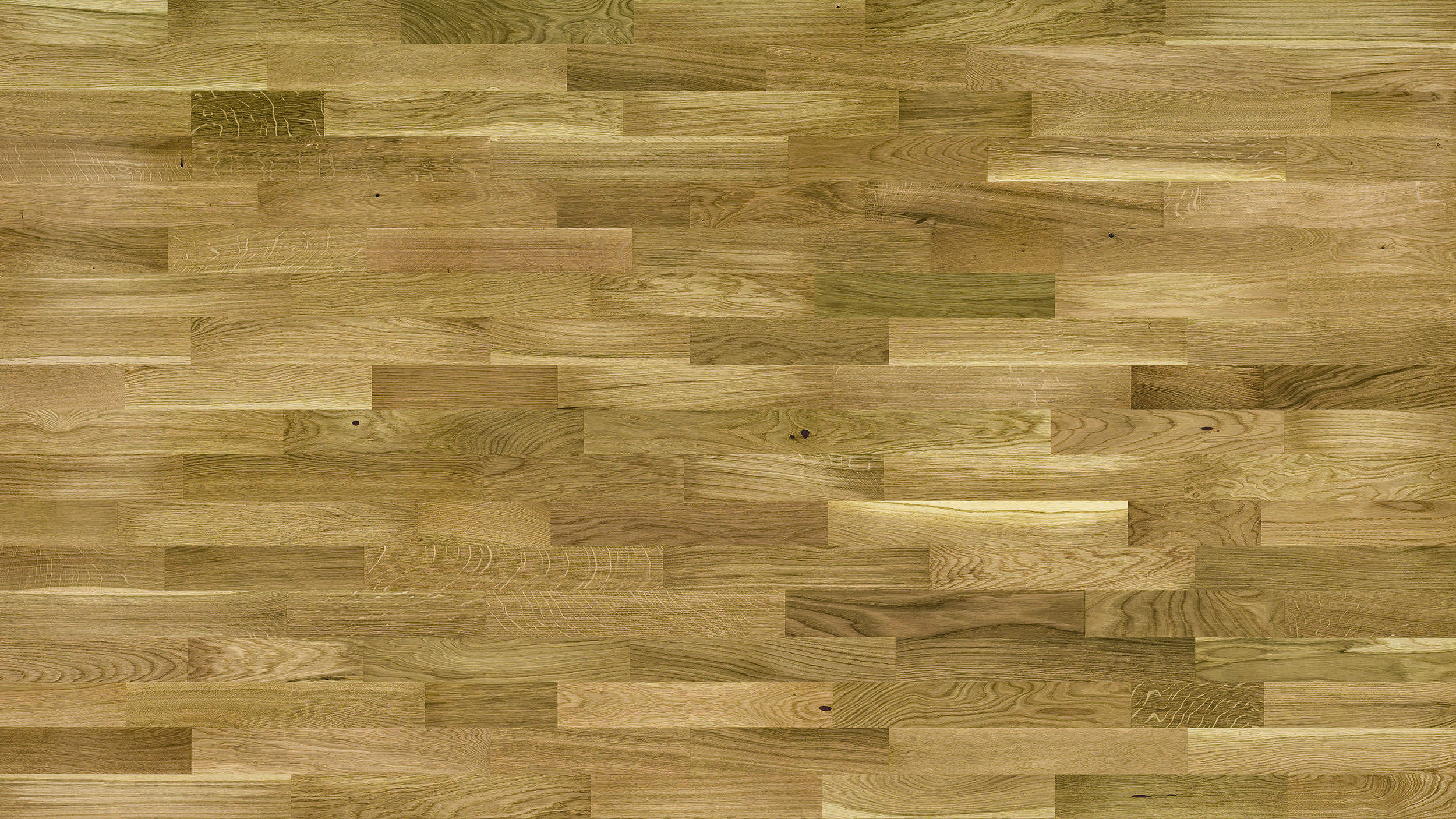 BC8-DBE3-LIN-XXX-D14207-F_Askania_Molti