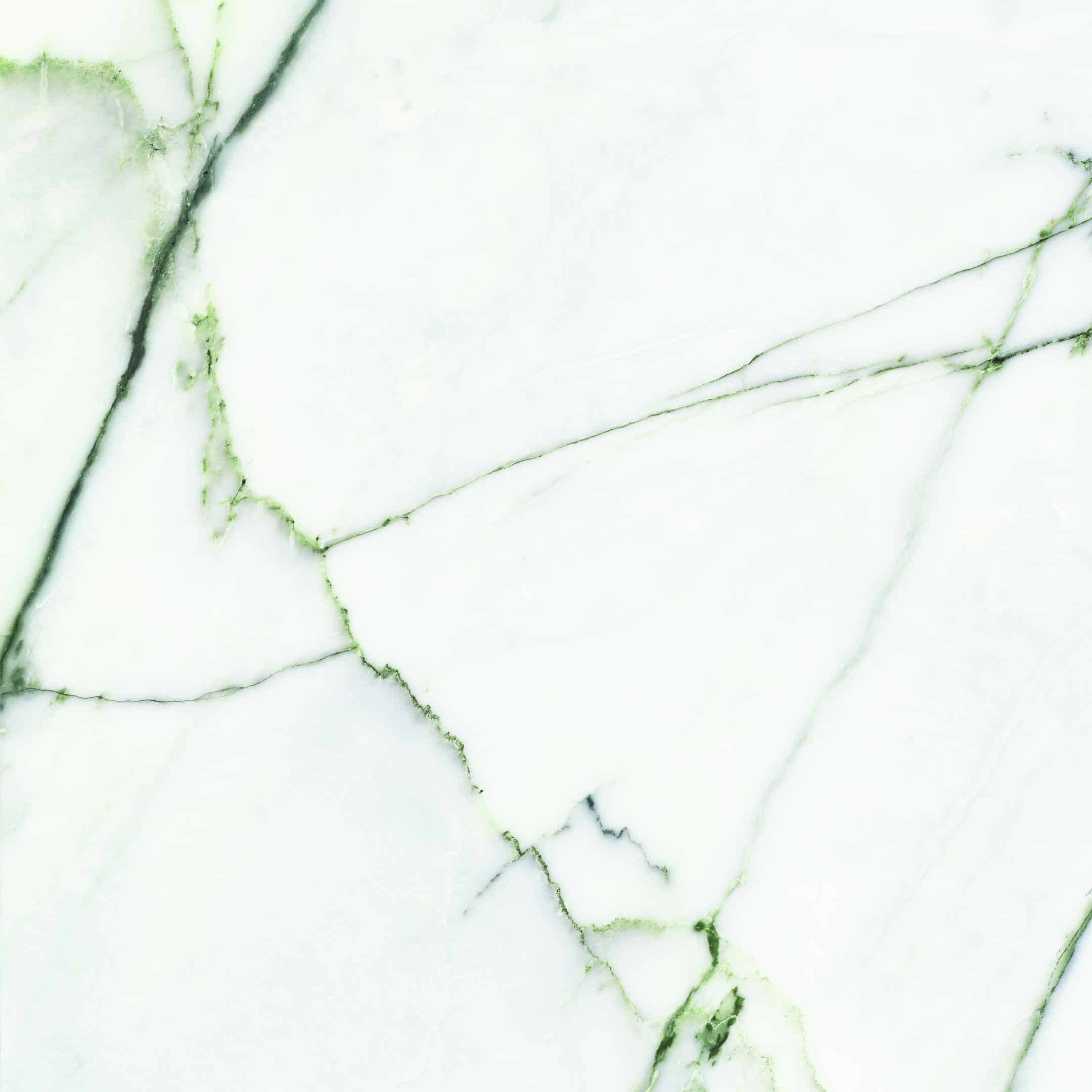 CALACATTA_VERDE_60X60_27
