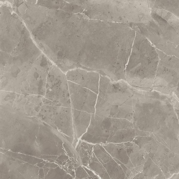 ELEGANT GREIGE_75X75 LUX