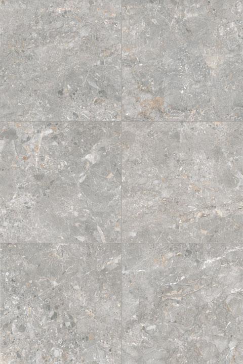 Gresie_portelanata_ARTEMIS_SILVER_80X80cm