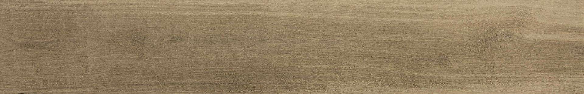 Gresie_portelanata_cu_aspect_lemn_Nest_Oak_20x120RT