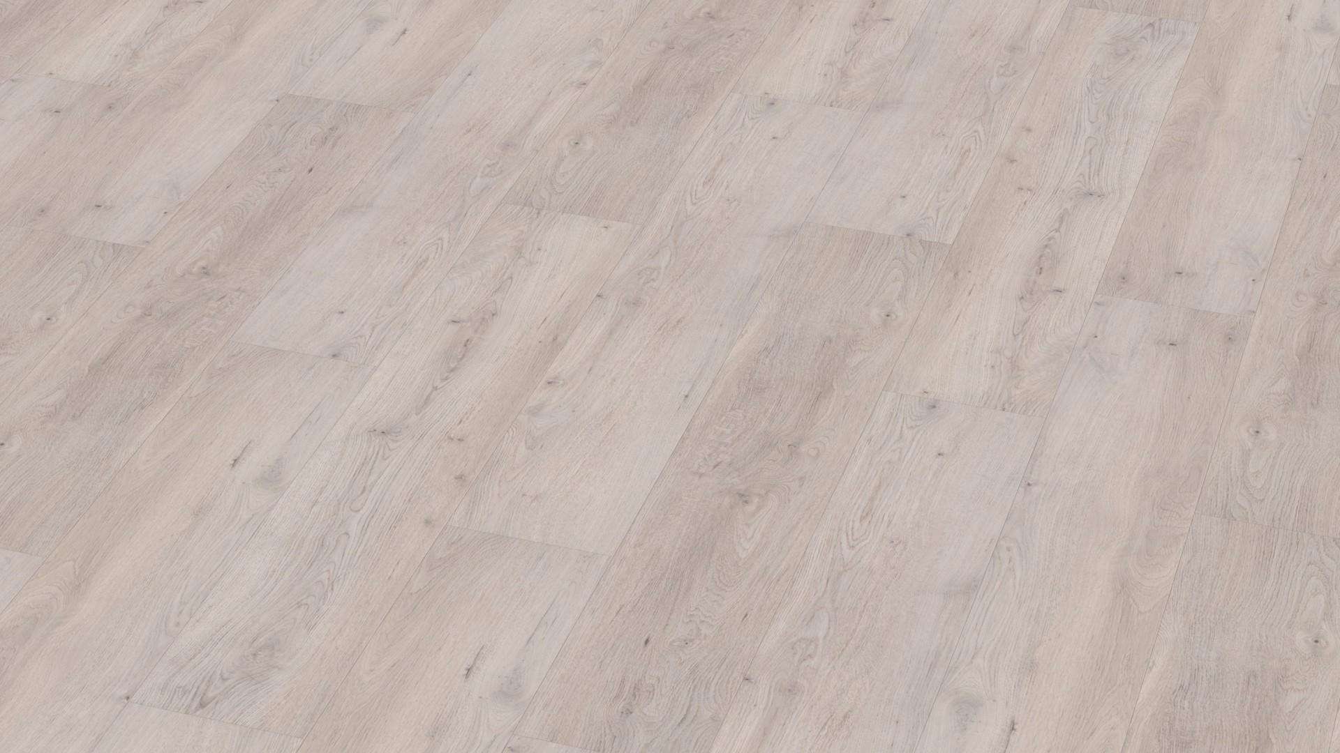 LVTC02_Oak_Helsinki2