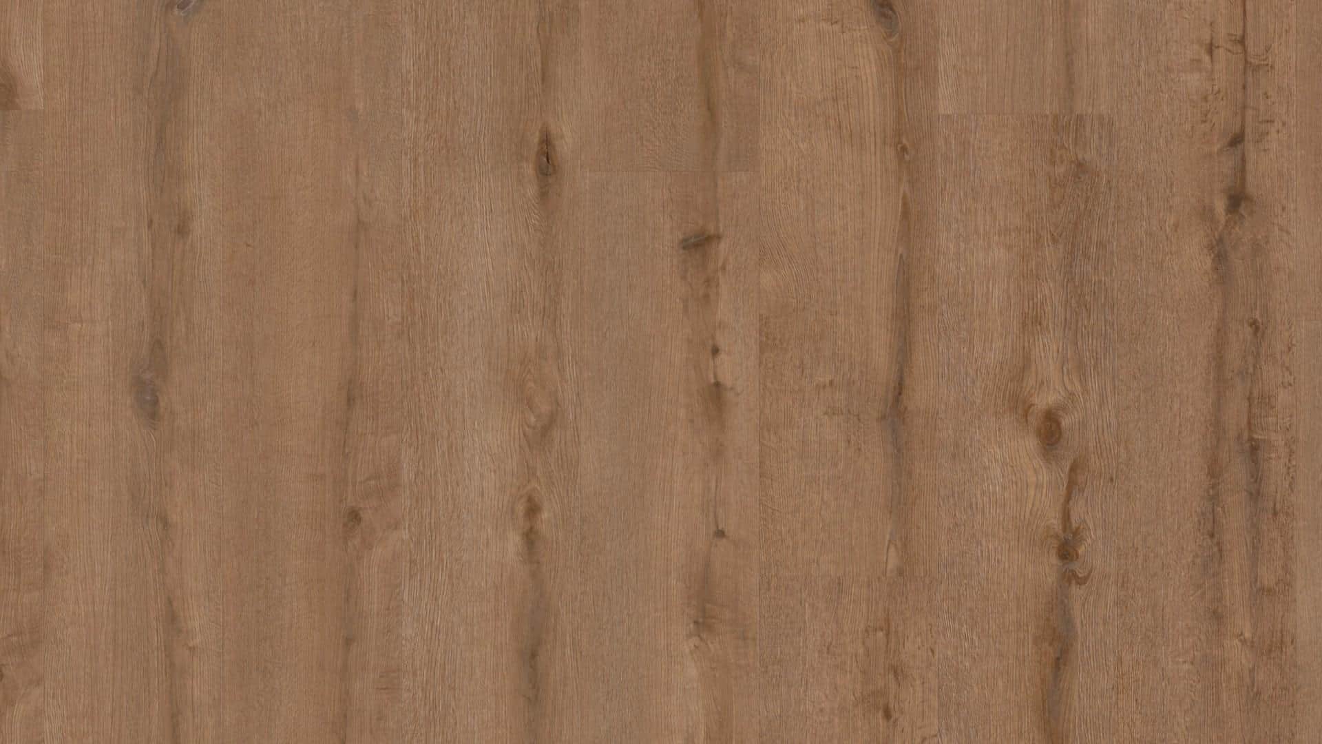 LVTD24-Oak-Washington-pardoseala-vinil-Ter-Hurne