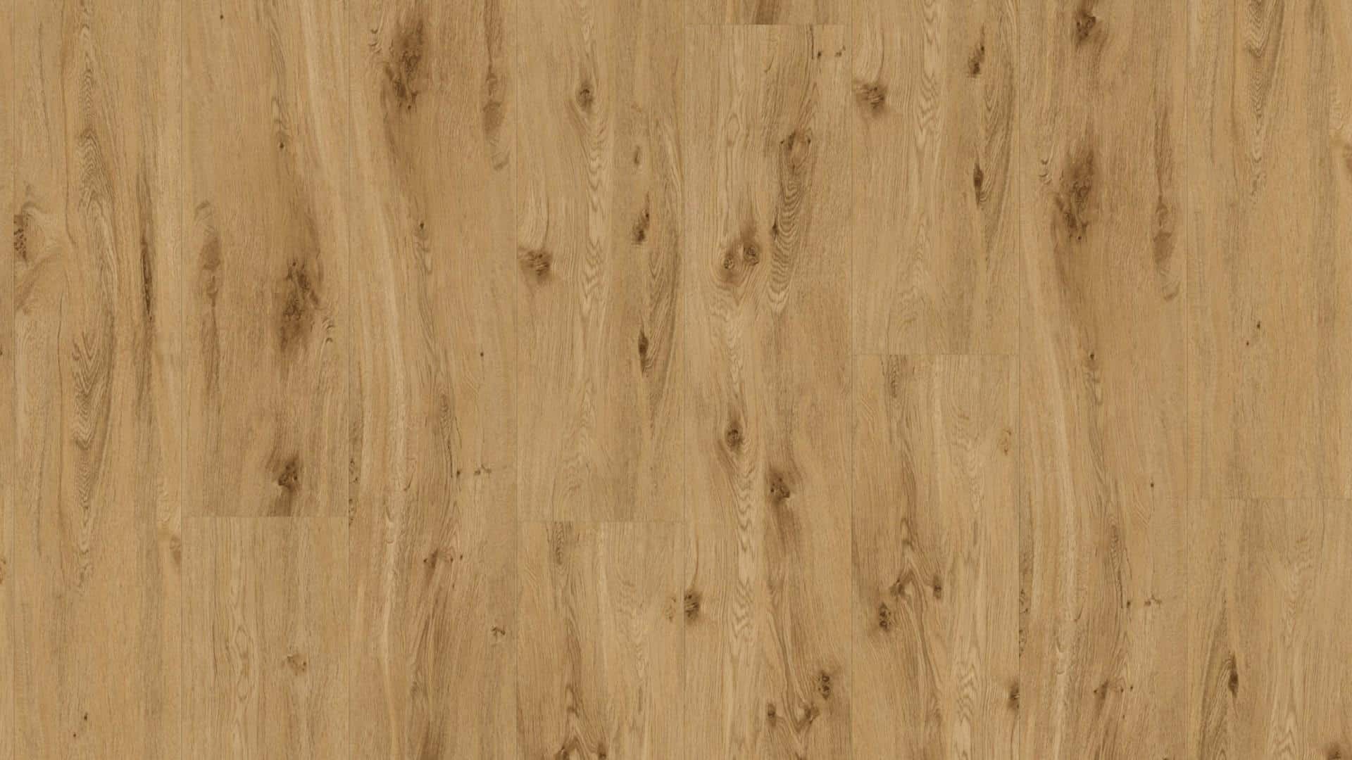 Parchet-LVT-C05_Oak-York-1