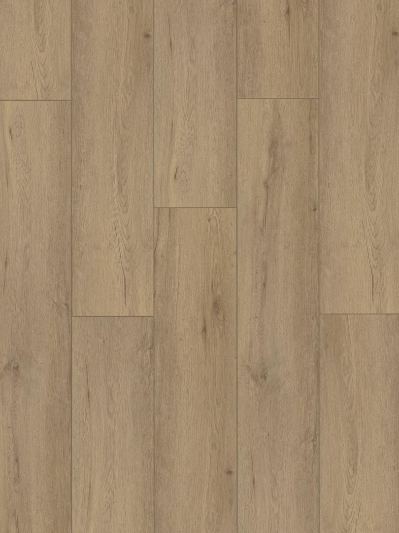 Parchet-hibrid-Amaron-Stejar-Belford