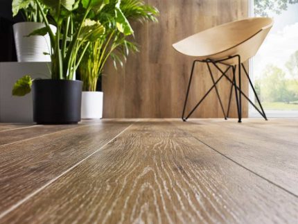 Parchet SPC Stejar Grants