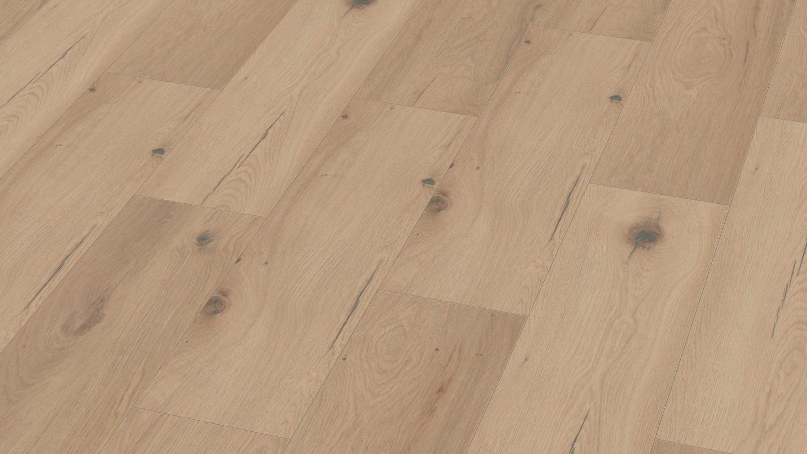 Parchet_laminat_G08_similar_stejar_Almond_Beige_Ter_Hurne