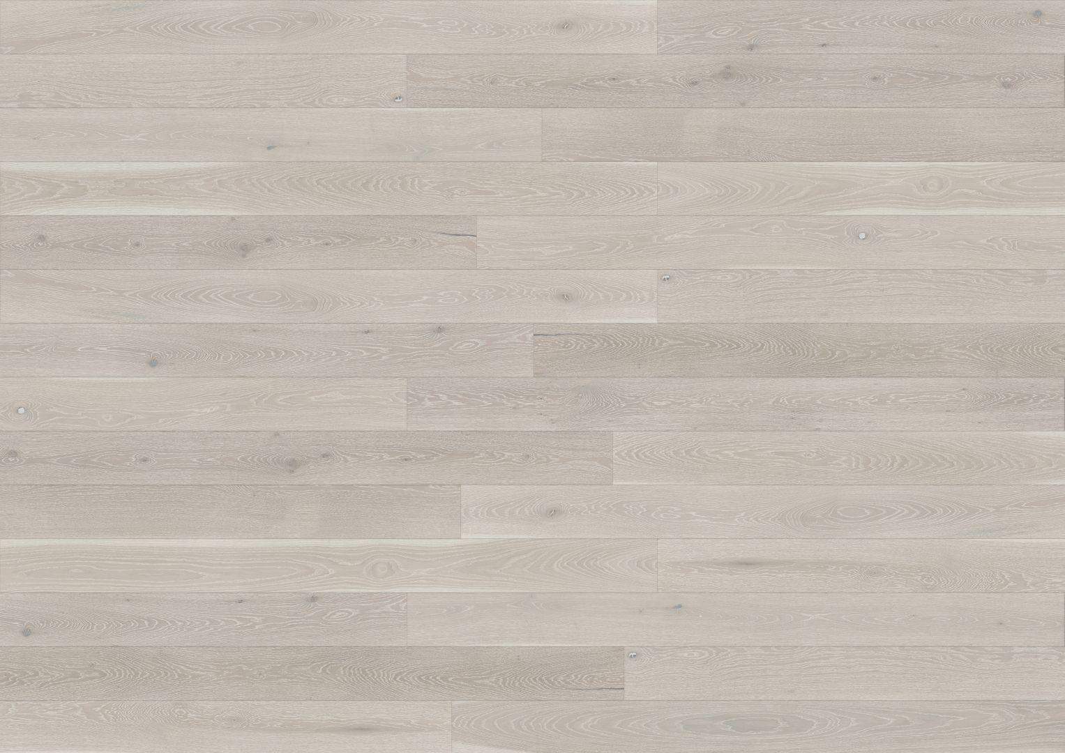 SG1-DBE1-L05-PBR-D14180-F_Cardamomo_Grande