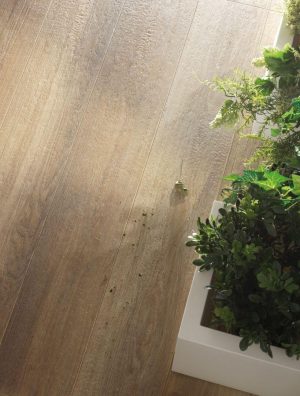 Gresie tip parchet Natural Appeal - imagine 6