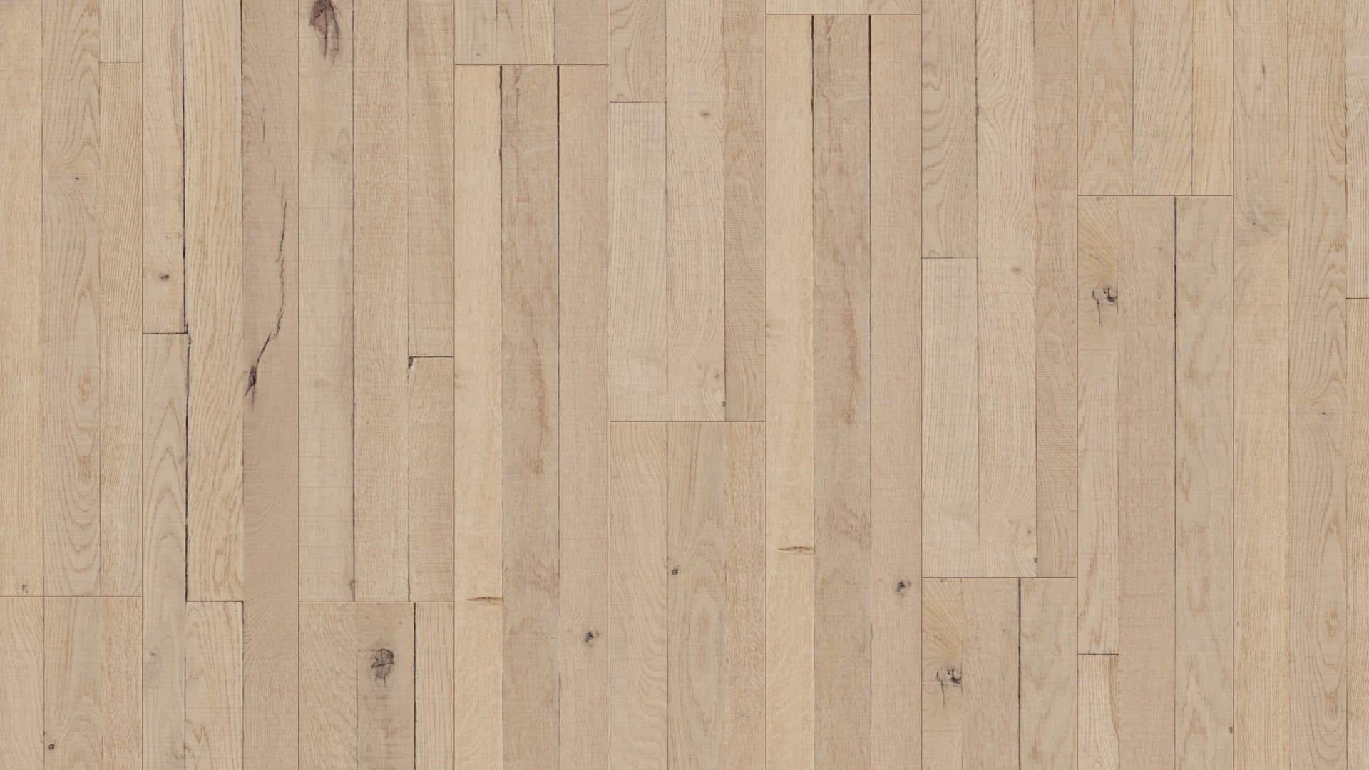 W02_Parchet_Avatara1_Alegra