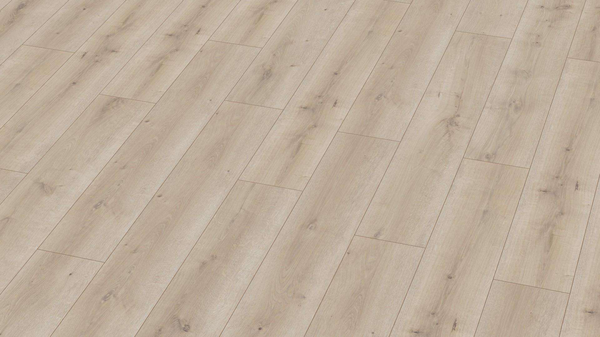 W06_Parchet_Avatara_Janus