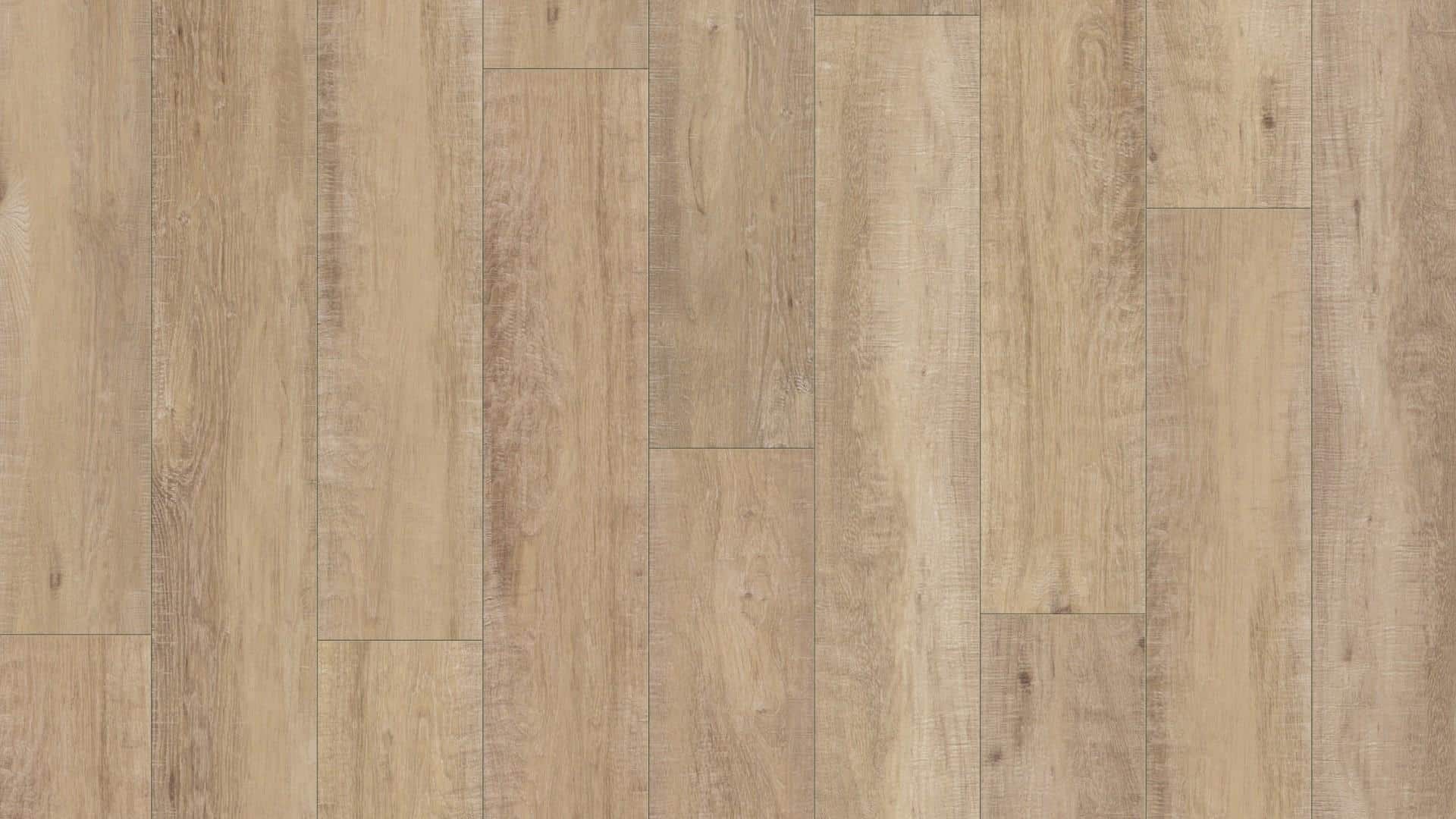 W14_Parchet_Avatara1_Vera