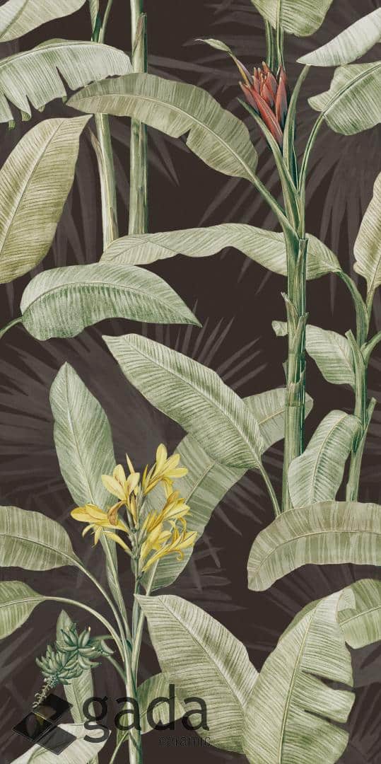 Hand drawn scarlet banana design element