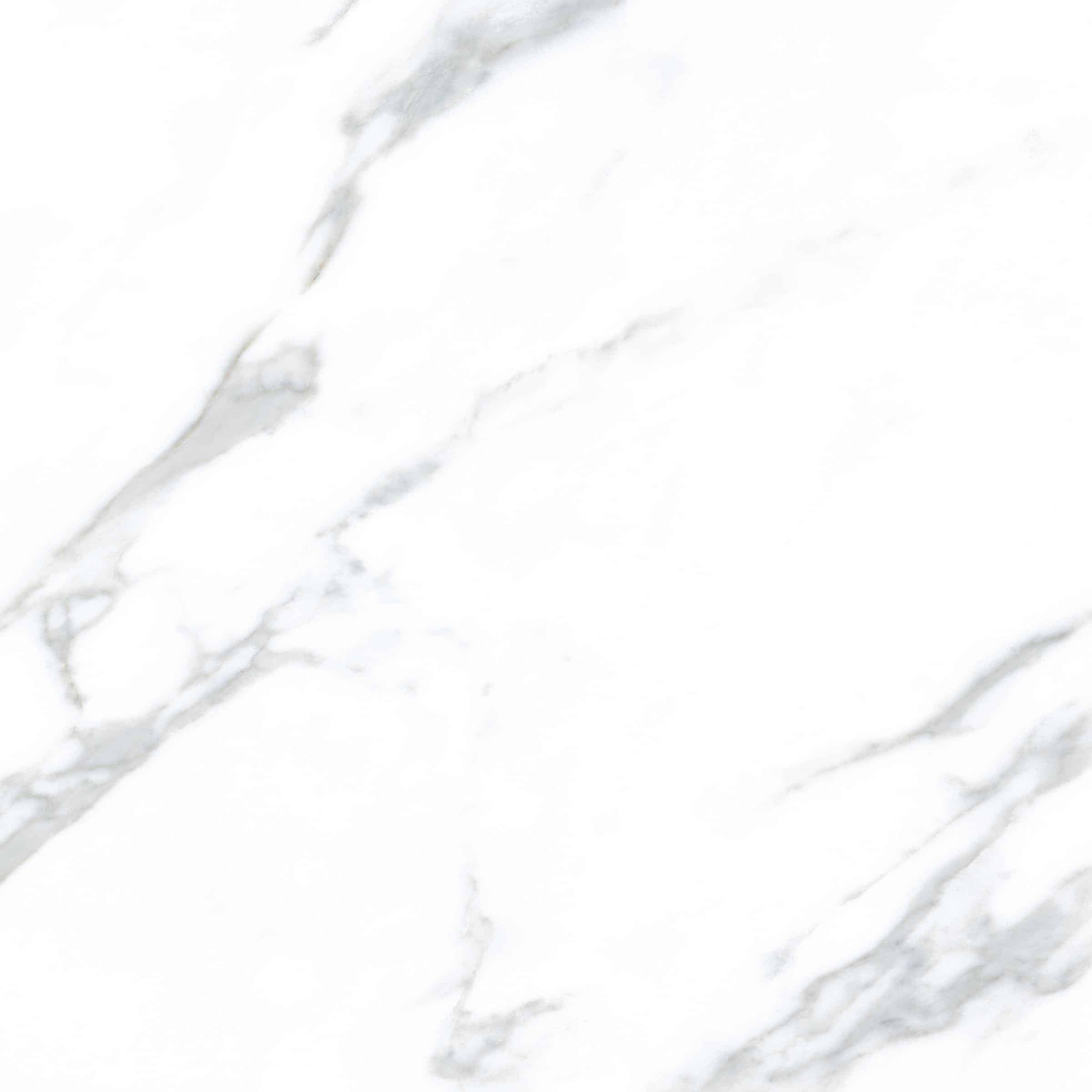 AVA_Calacatta_60x60_083085@1