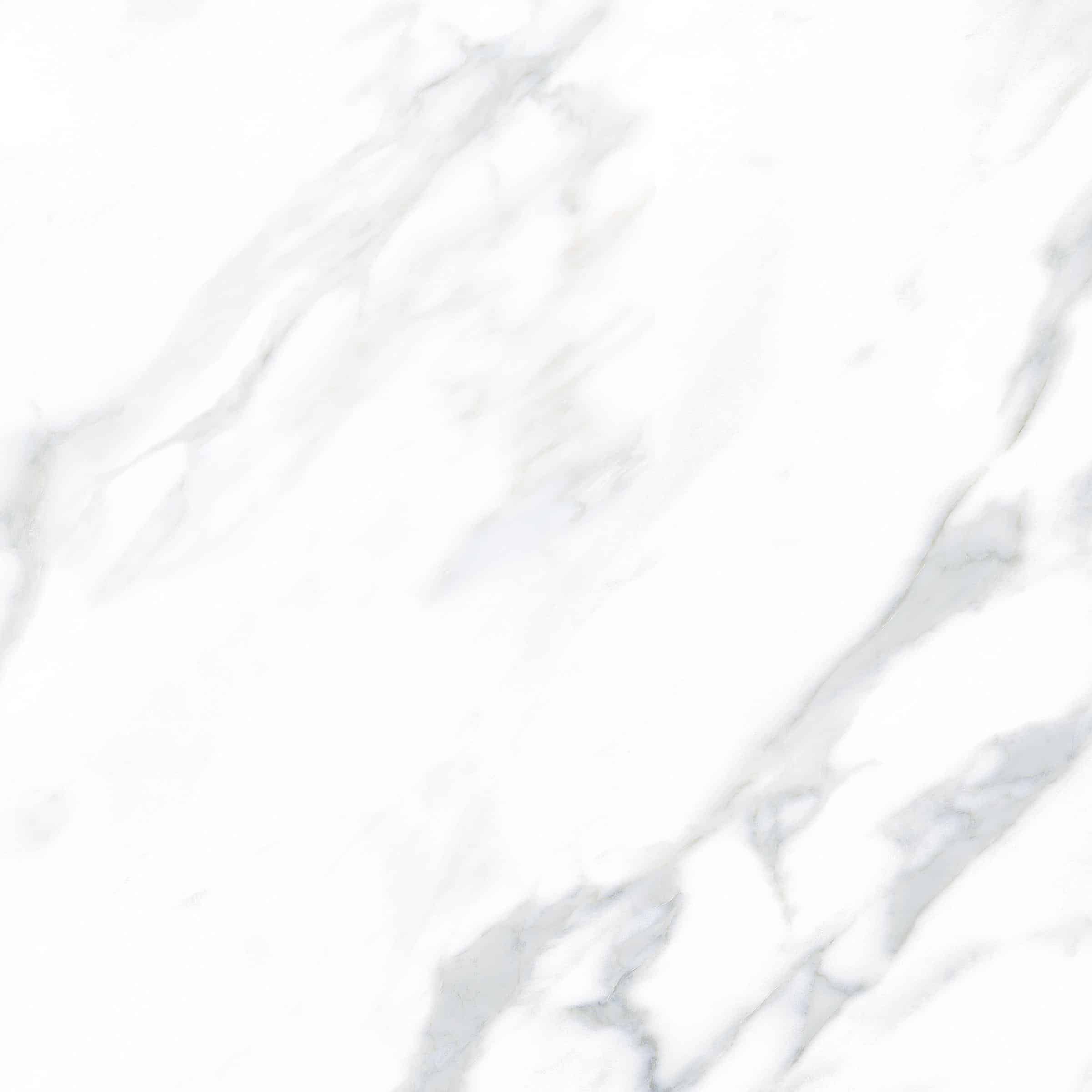 AVA_Calacatta_60x60_083085@2