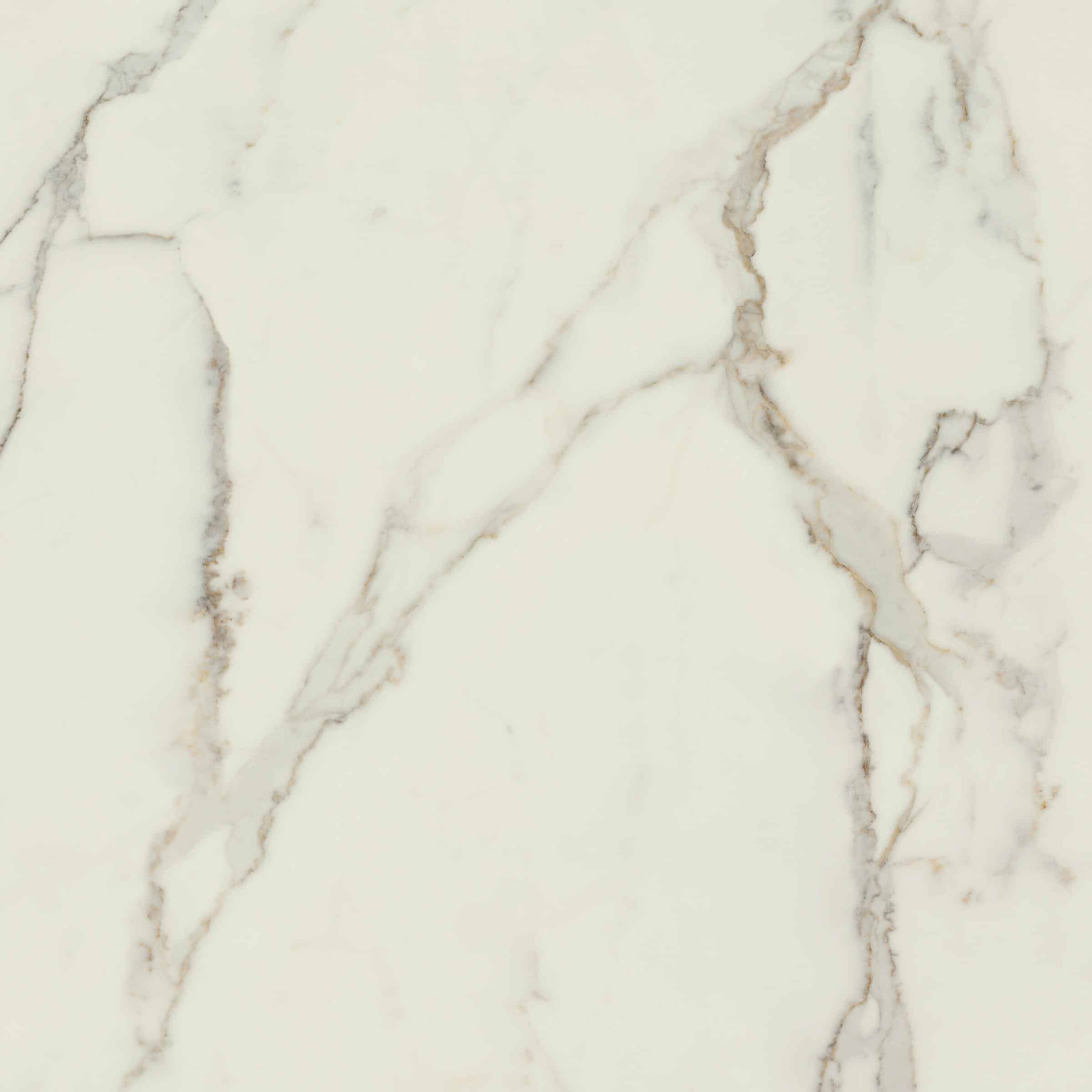 AVA_Calacatta_Oro_120x120@01