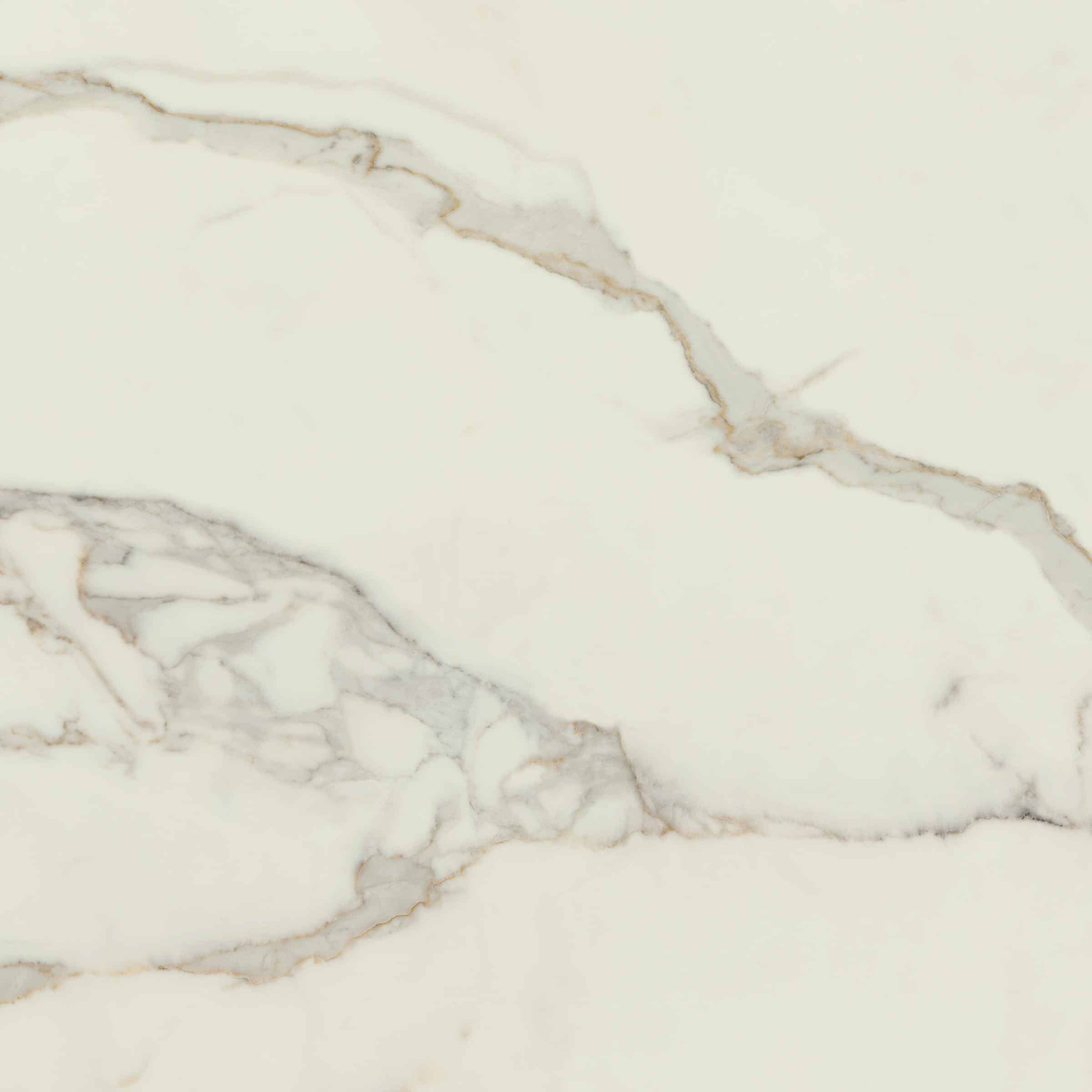 AVA_Calacatta_Oro_120x120@02