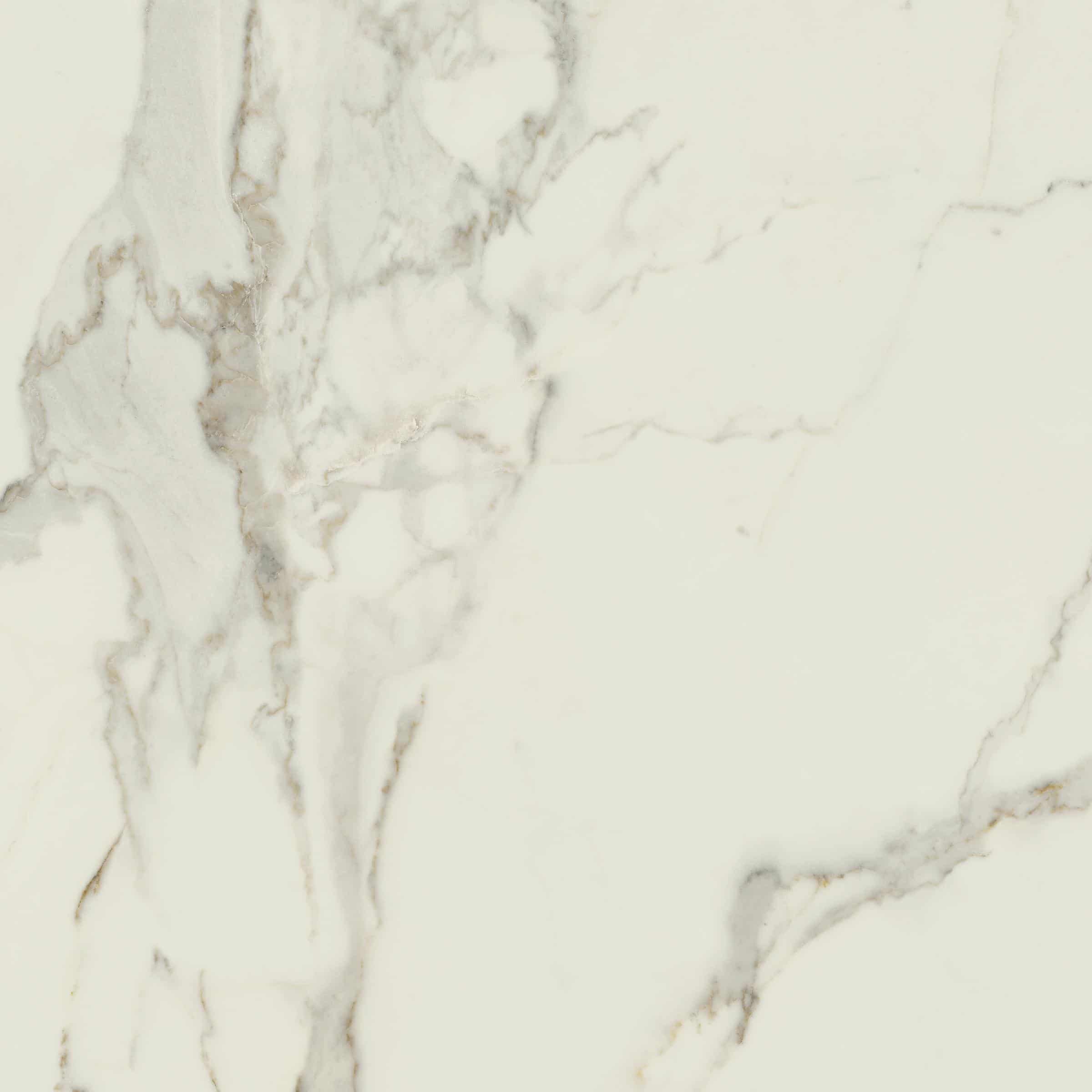 AVA_Calacatta_Oro_120x120@03