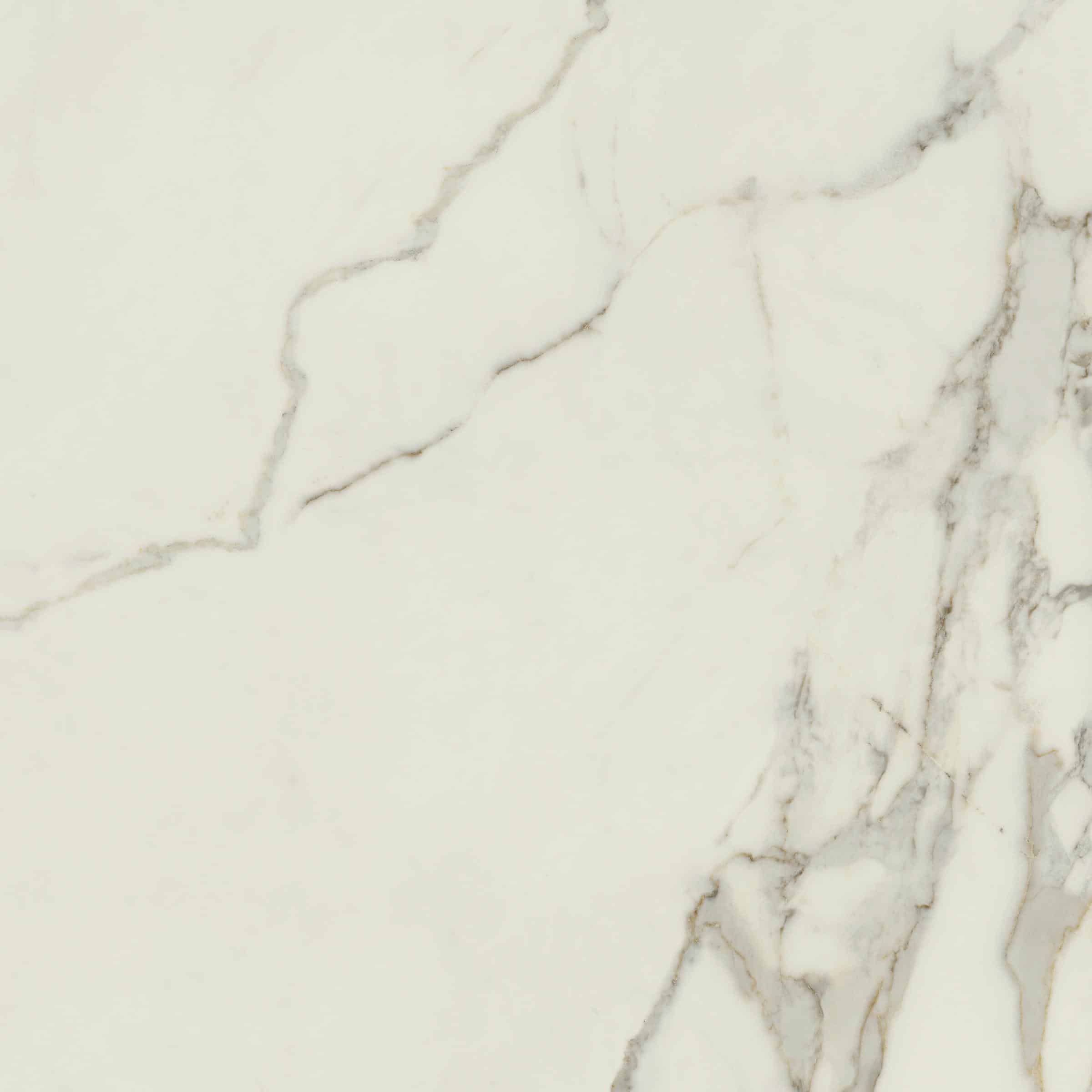 AVA_Calacatta_Oro_120x120@04