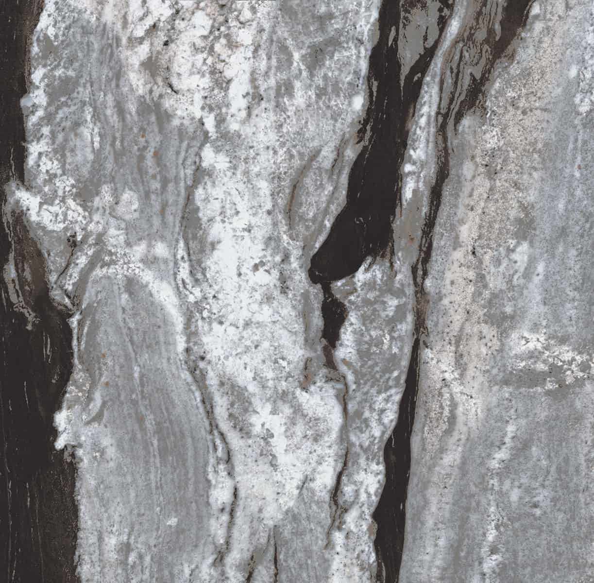 AVA_Copacabana_Emperor_120x120_081059@3