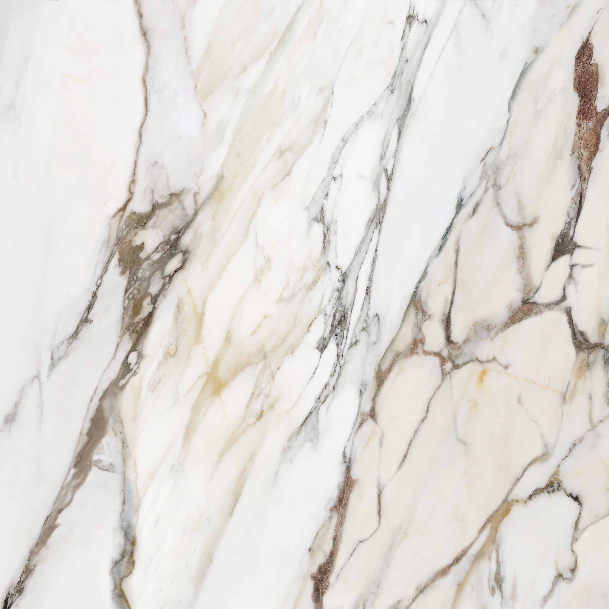 AVA_Macchia_Antica_120x120@01