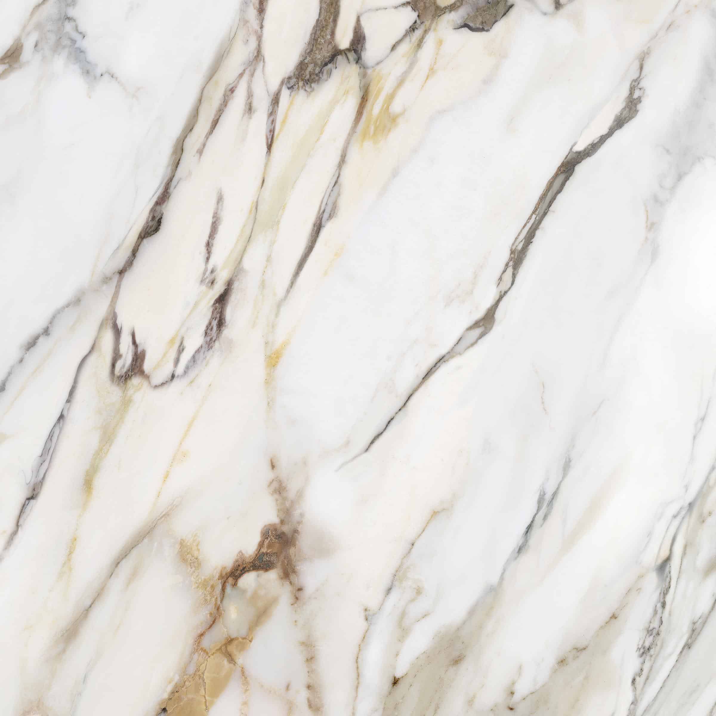 AVA_Macchia_Antica_120x120@02