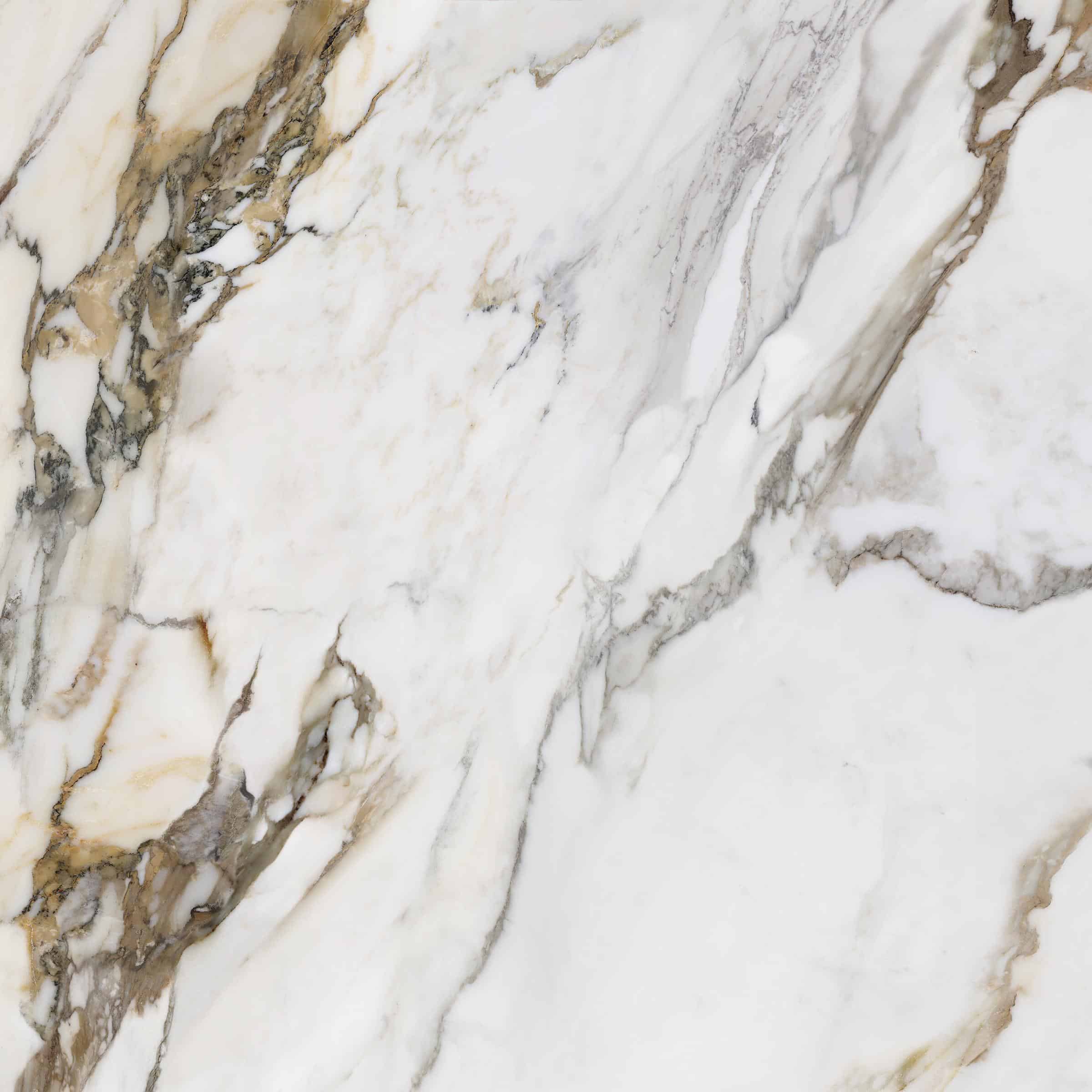 AVA_Macchia_Antica_120x120@03