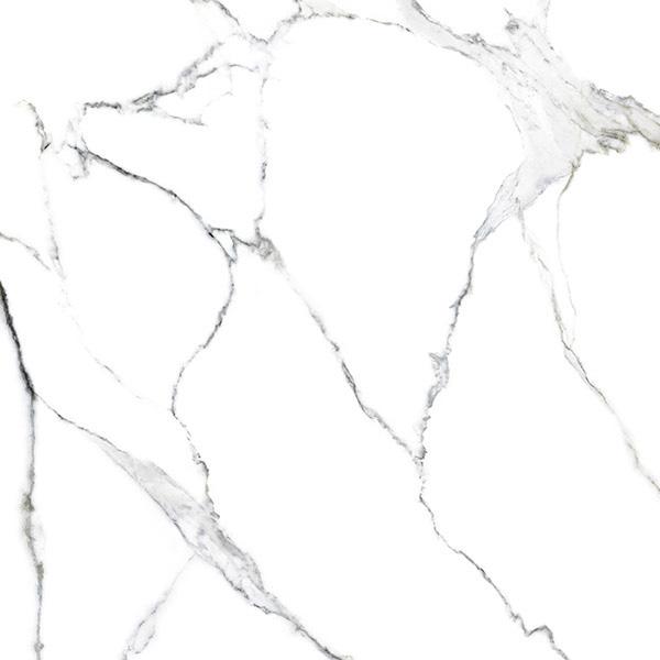 AVA_Statuario_Splendente_80x80_087107@1