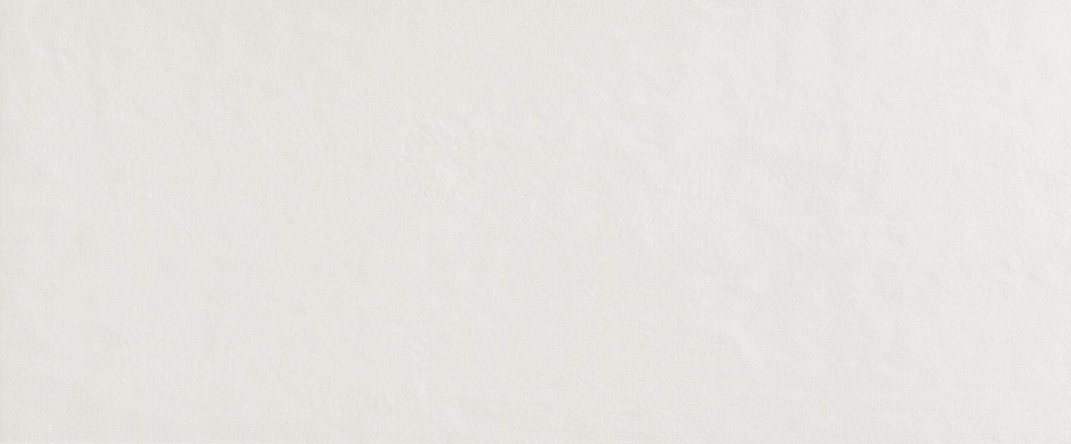 Faianta-fap_milanomood_2021_ghiaccio_matt_50x120_rt_1_fQAW_hr