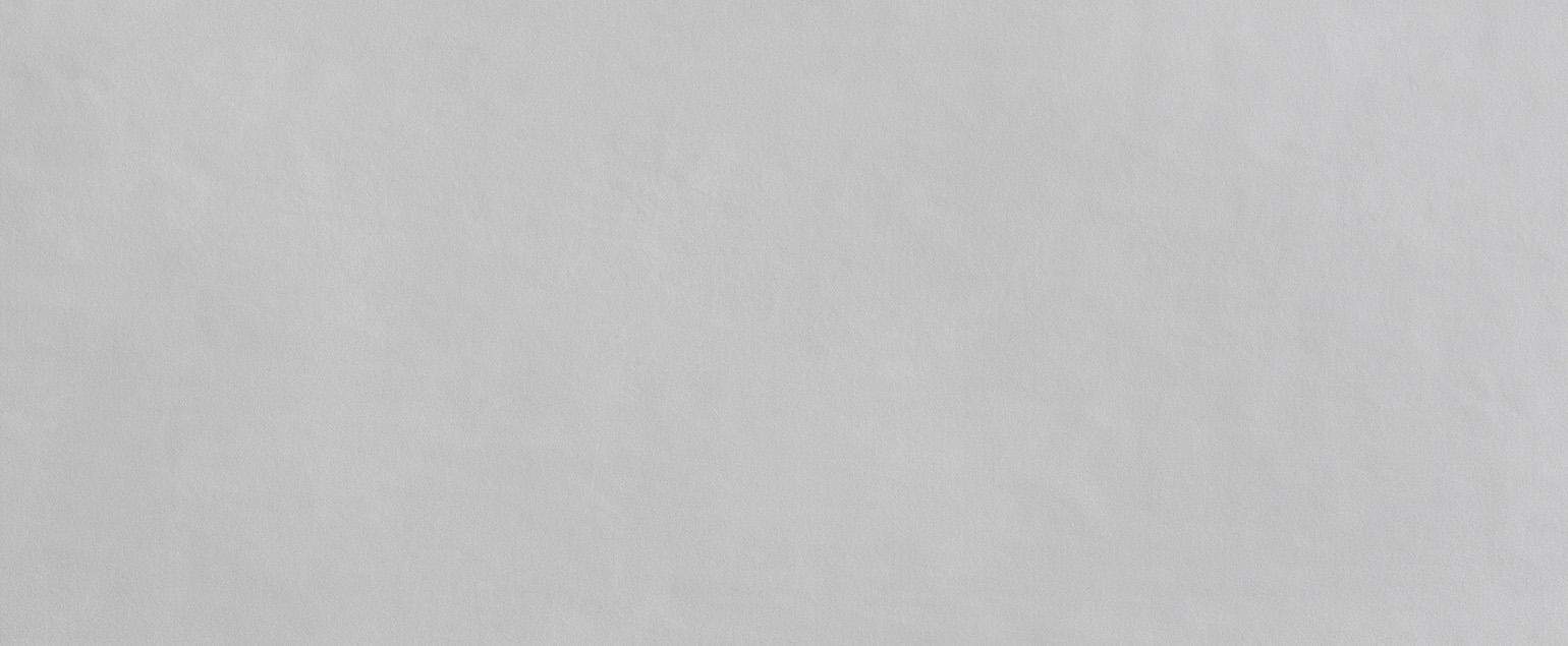 Faianta-fap_milanomood_2021_perla_matt_50x120_rt_1_fQAX_hr