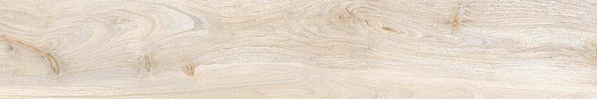 LF_Amazon_Arara_20x120_076029@(3)