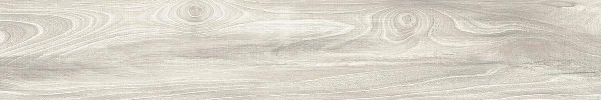 LF_Amazon_Kamba_20x120_076031@2