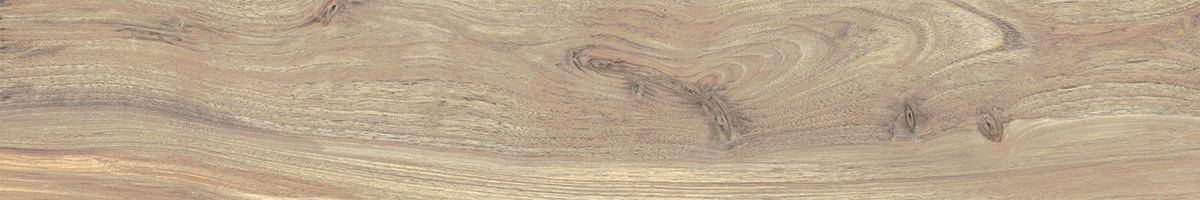 LF_Amazon_Matis_20x120_076033@(2)