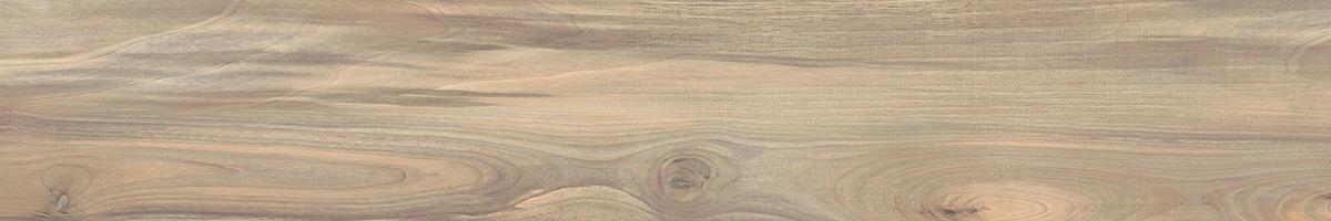 LF_Amazon_Matis_20x120_076033@(3)