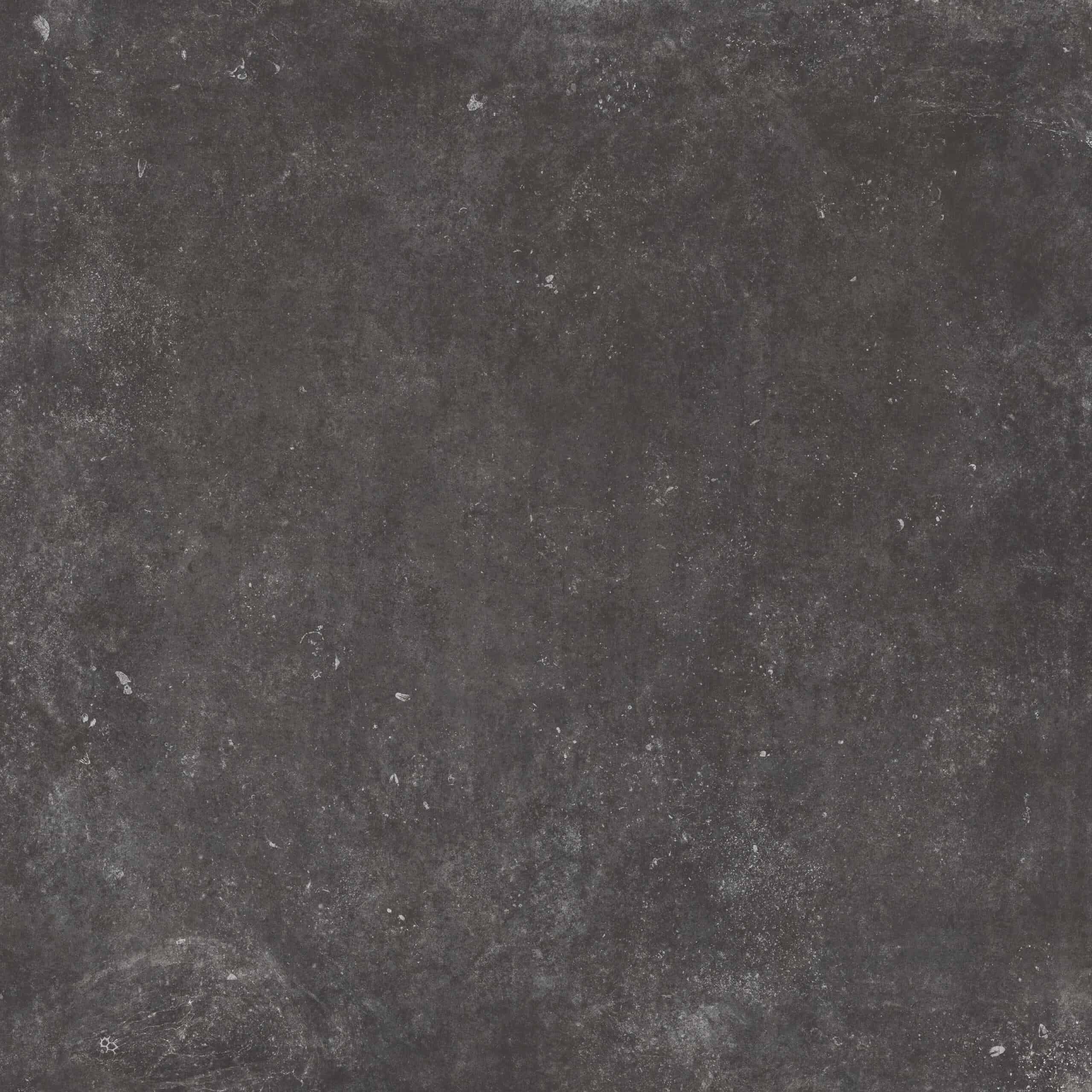 LF_Blue_Evolution_Black_80x80@3