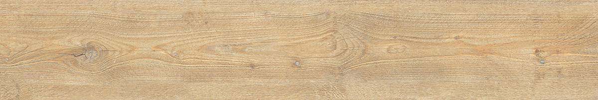 LF_Ca_Foscari_Avana_20x120_094009@5