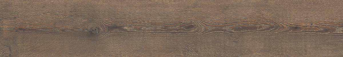 LF_Ca_Foscari_Moro_20x120_094018@2