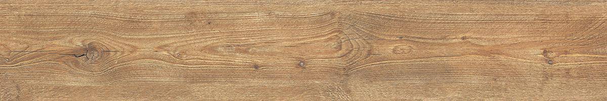 LF_Ca_Foscari_Tabacco_20x120_094014@5