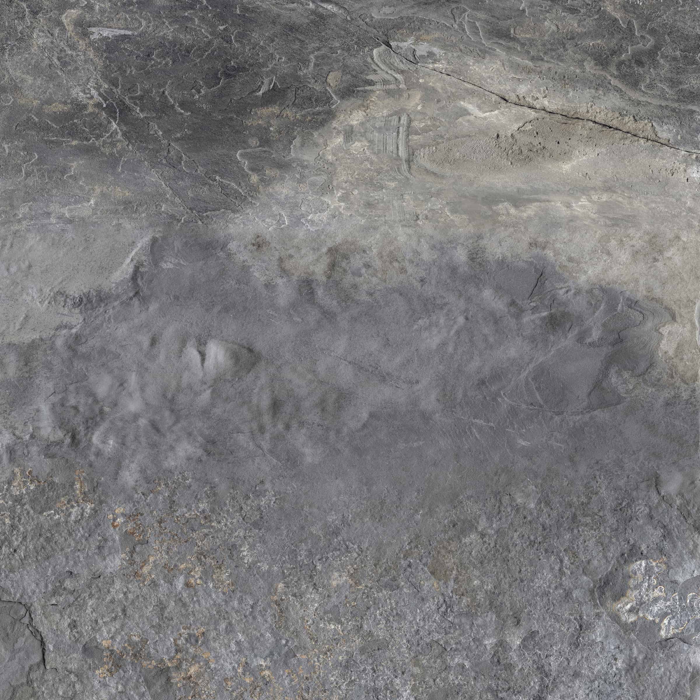 LF_High_Line_Essex_60x60_109046@5