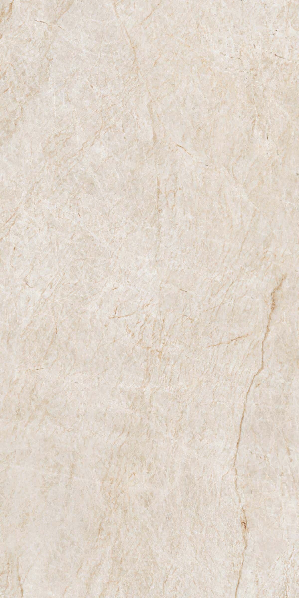 LF_Marmi_Taj_Mahal_60x120_135068@_(2)