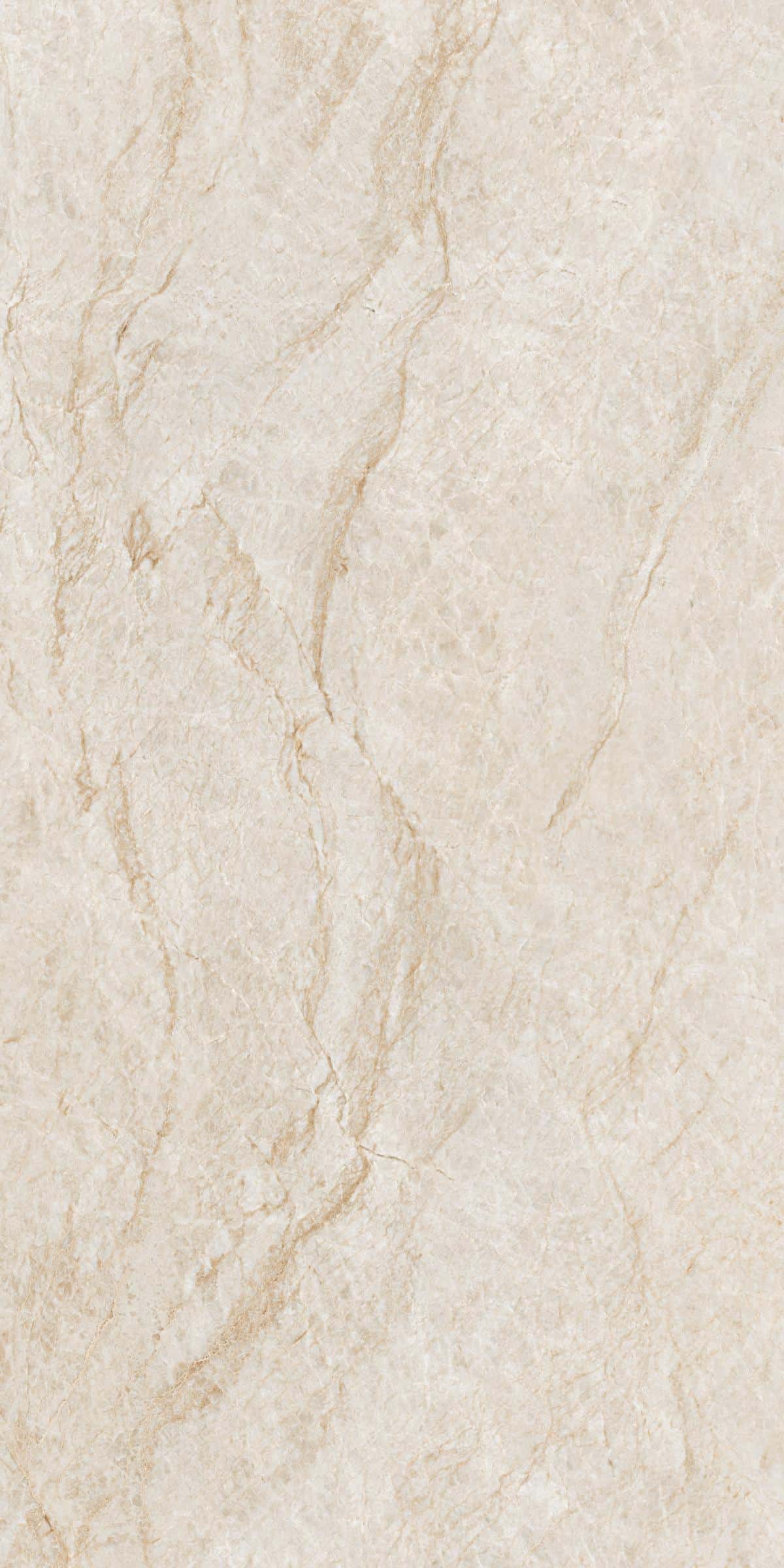 LF_Marmi_Taj_Mahal_60x120_135068@_(3)