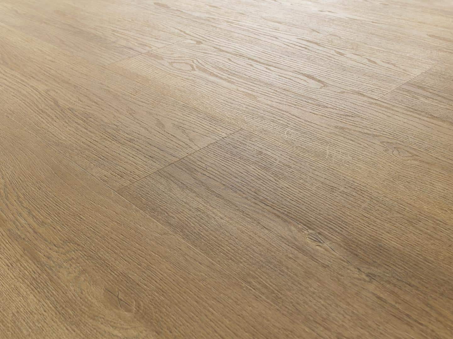 Parchet-hibrid-Arbiton-Stejar-Mayne-1