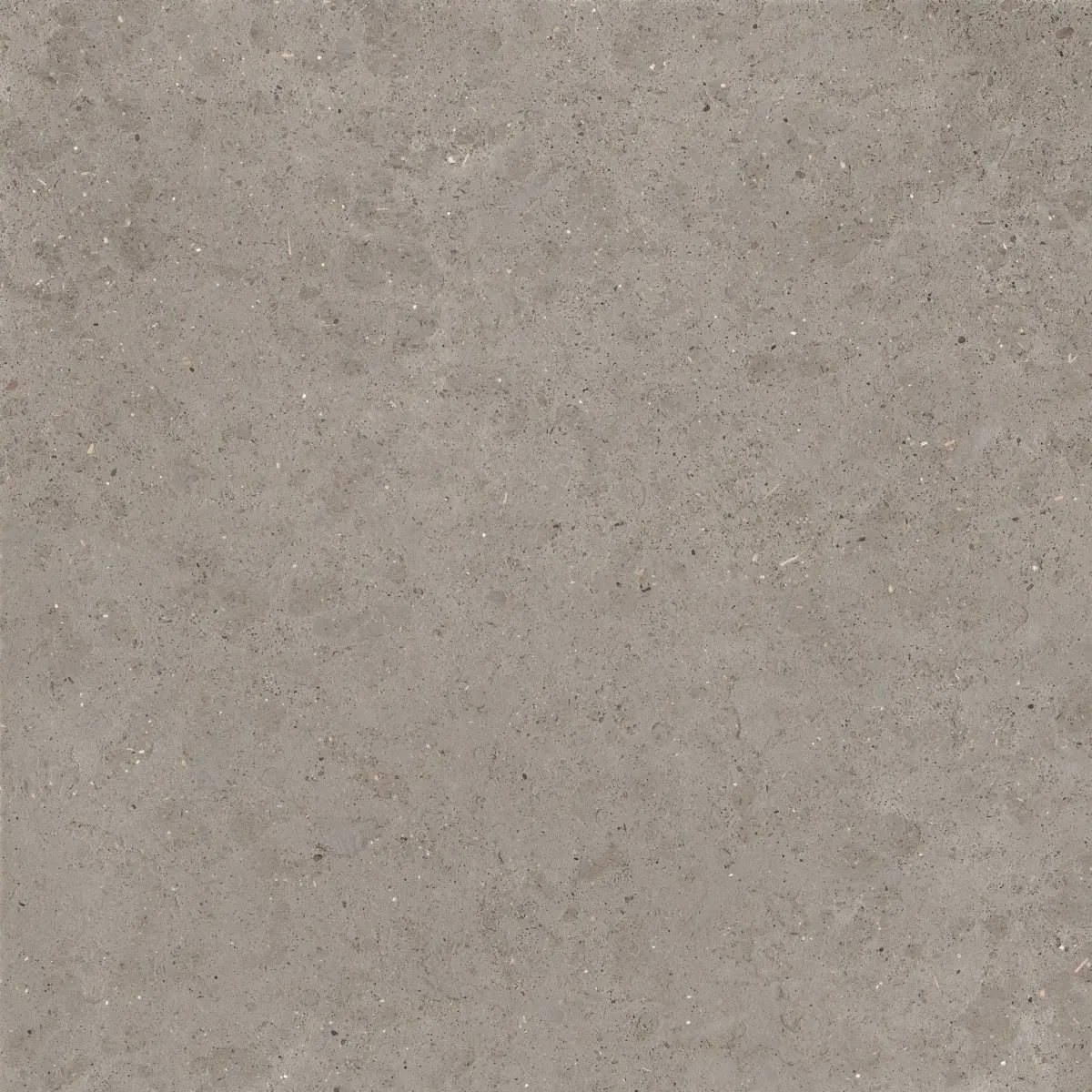 Gresie-portelanata-GREIGE 120X120-cm-gada-ceramic