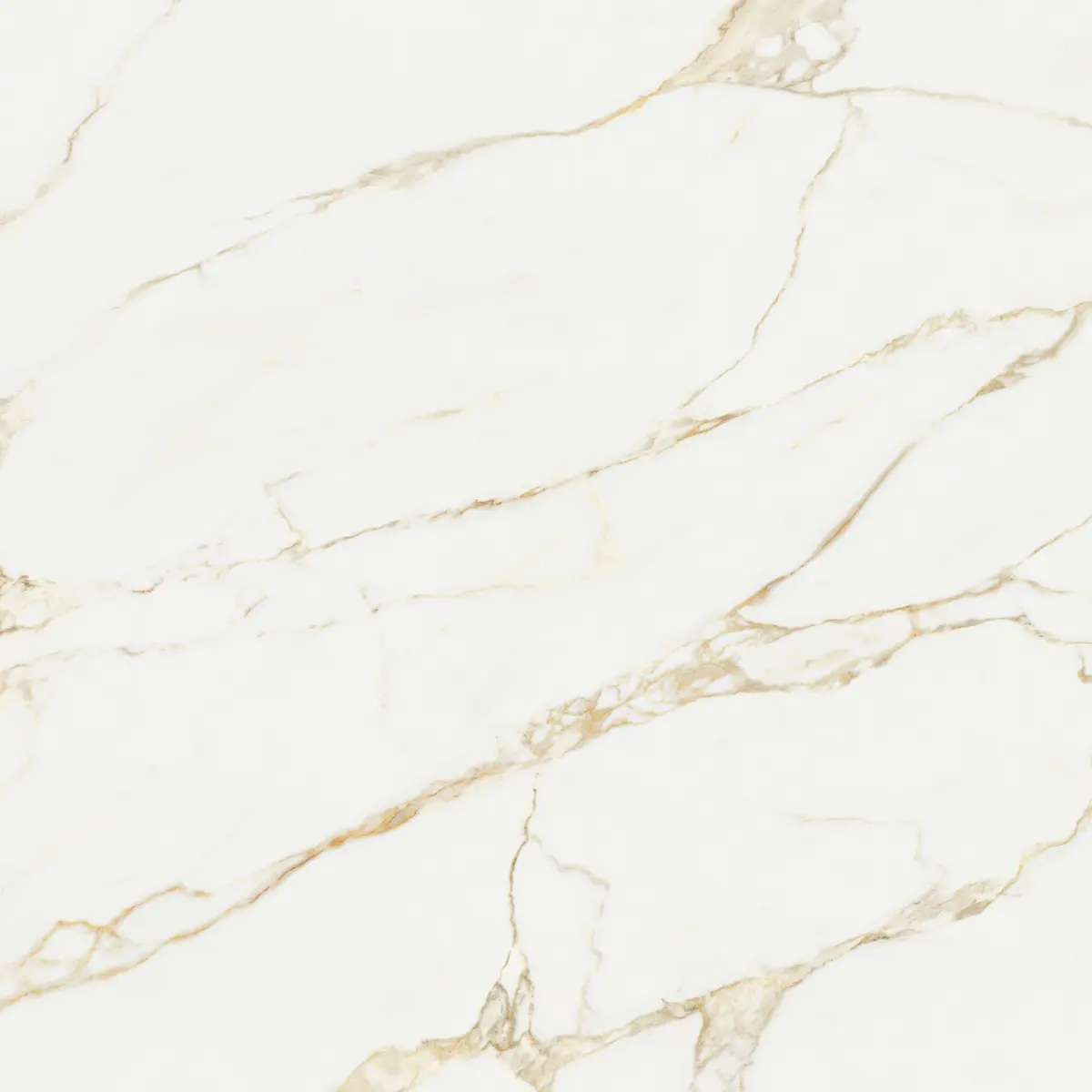 ATL_CALACATTA GOLD_120X120_1