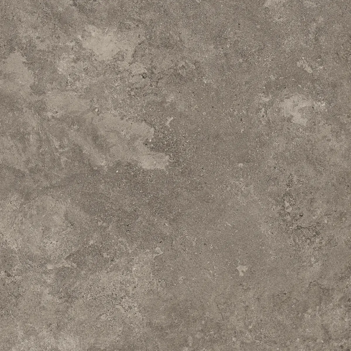DSK_COAL_120X120_1